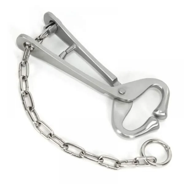 Bull Lead with Chain