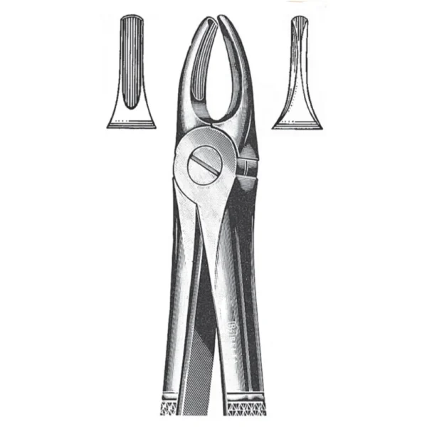 Extracting Forceps, English Pattern