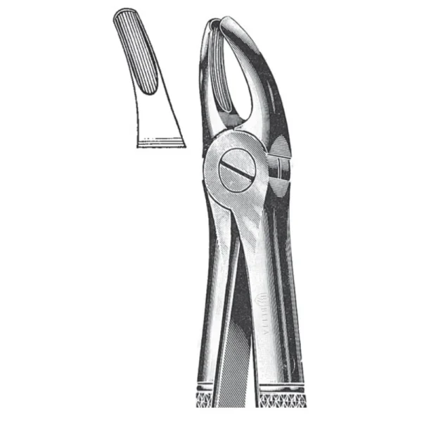 Extracting Forceps, English Pattern