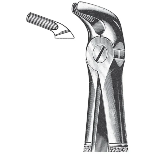 Extracting Forceps, English Pattern