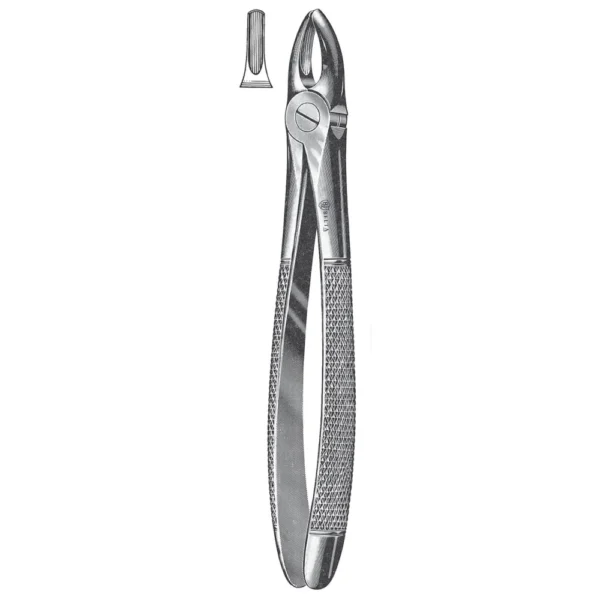 Extracting Forceps, English Pattern