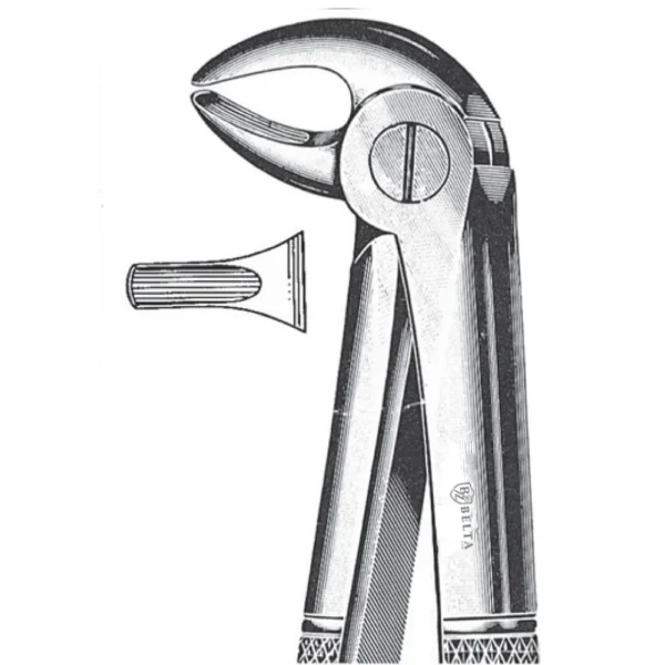 Extracting Forceps, English Pattern